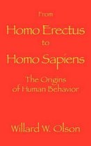 From Homo Erectus to Homo Sapiens