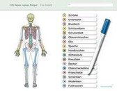 Ich kenne meinen Körper - Das Skelett