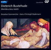 Dresdner Kammerchor, Hans-Christoph Rademann - Buxtehude: Membra Jesu Nostri (CD)