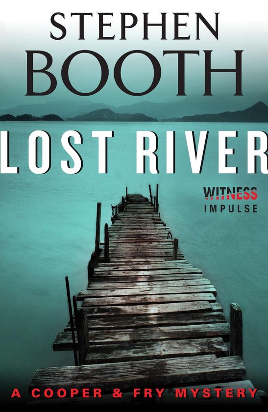 Cooper & Fry Mysteries 10 - Lost River - cover