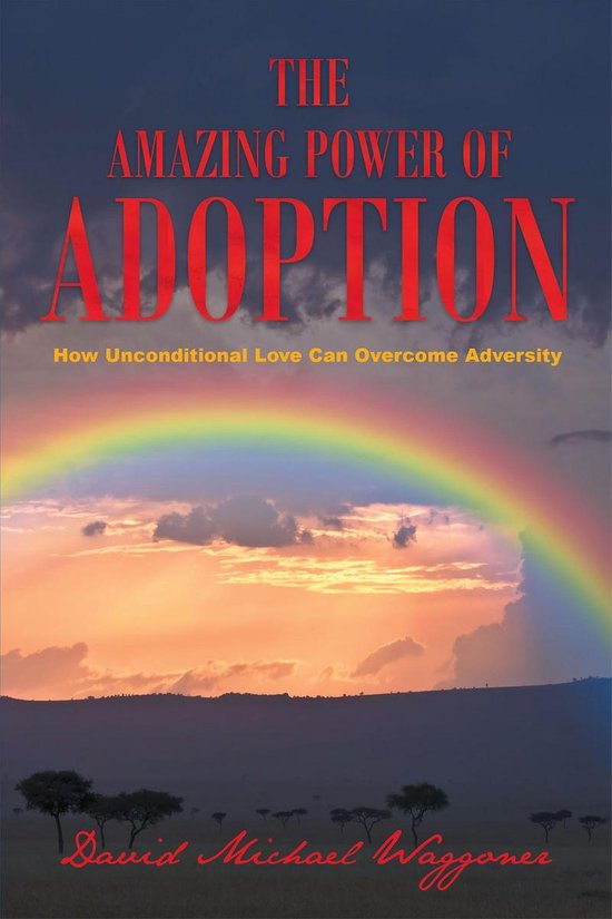 The Amazing Power of Adoption - cover