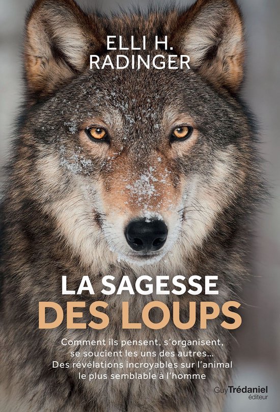La sagesse des loups - Comment ils pensent, s'organisent, se ... - cover