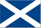 Vlag Schotland 90 x 150 cm feestartikelen - Schotland landen thema supporter/fan decoratie artikelen