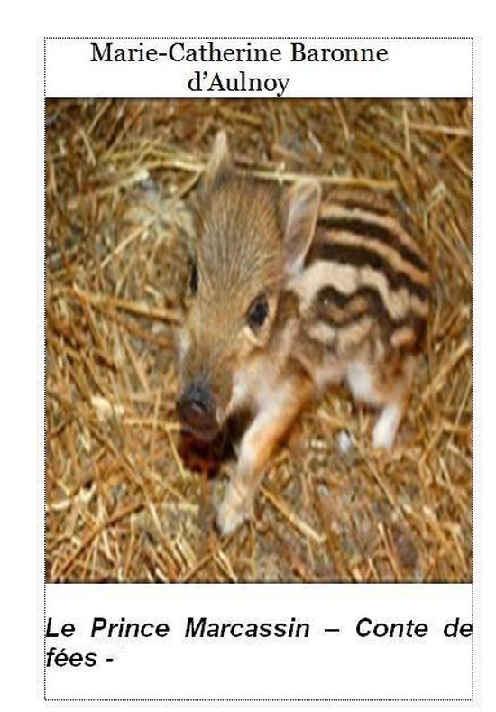 Conte de fées 15 - Le Prince Marcassin 15