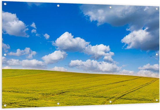 Tuinposter – Groen Grasland met Blauwe Lucht - 150x100 cm Foto op Tuinposter (wanddecoratie voor buiten en binnen)