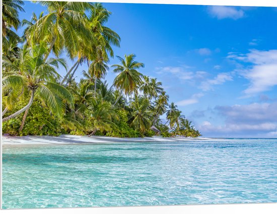PVC Schuimplaat - Tropisch Strand met Palmbomen - 100x75 cm Foto op PVC Schuimplaat (Met Ophangsysteem)