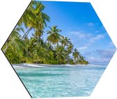Dibond Hexagon - Tropisch Strand met Palmbomen - 50x43.5 cm Foto op Hexagon (Met Ophangsysteem)