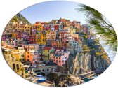 WallClassics - Dibond Ovaal - Gekleurde Huizen op de Berg - Italië - 108x81 cm Foto op Ovaal (Met Ophangsysteem)