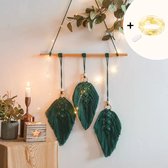 ZoeZo - Macramé wandhanger met verlichting - Veren - Groen - Macramé dromenvanger - Wanddecoratie - Wandkleed - Home decoratie - Muurdecoratie