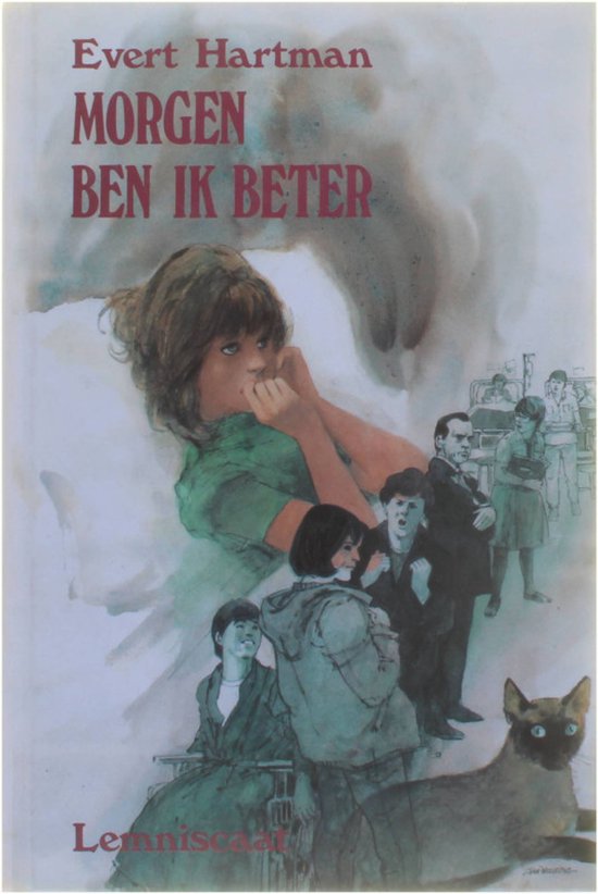9789060696675 - Morgen ben ik beter