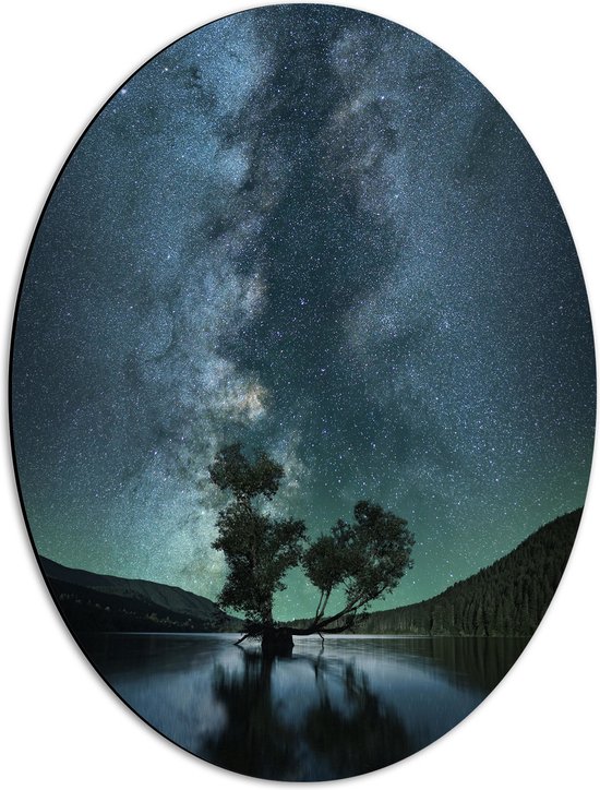 WallClassics - Dibond Ovaal - Prachtige Nacht met Sterren in de Natuur - 42x56 cm Foto op Ovaal (Met Ophangsysteem)