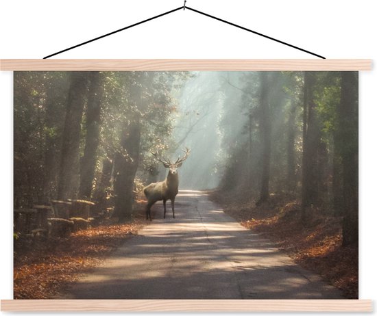 Porte-affiche avec affiche - Affiche scolaire - Cerf - Forêt - Rayons de soleil - 120x80 cm - Lattes vierges