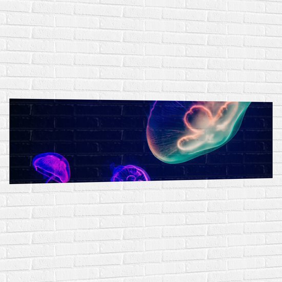 WallClassics - Muursticker - Trio Kwallen in Verschillende Kleuren - 150x50 cm Foto op Muursticker