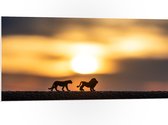 PVC Schuimplaat - Speelgoed Dieren bij Zonsondergang - 100x50 cm Foto op PVC Schuimplaat (Met Ophangsysteem)