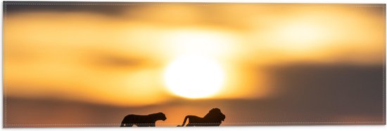 Vlag - Speelgoed Dieren bij Zonsondergang - 60x20 cm Foto op Polyester Vlag