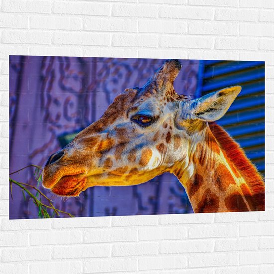 WallClassics - Muursticker - Zijaanzicht van Etende Giraffe - 120x80 cm Foto op Muursticker
