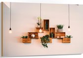 Hout - Trio Lampen voor Kistjes met Planten aan de Muur - 120x80 cm - 9 mm dik - Foto op Hout (Met Ophangsysteem)