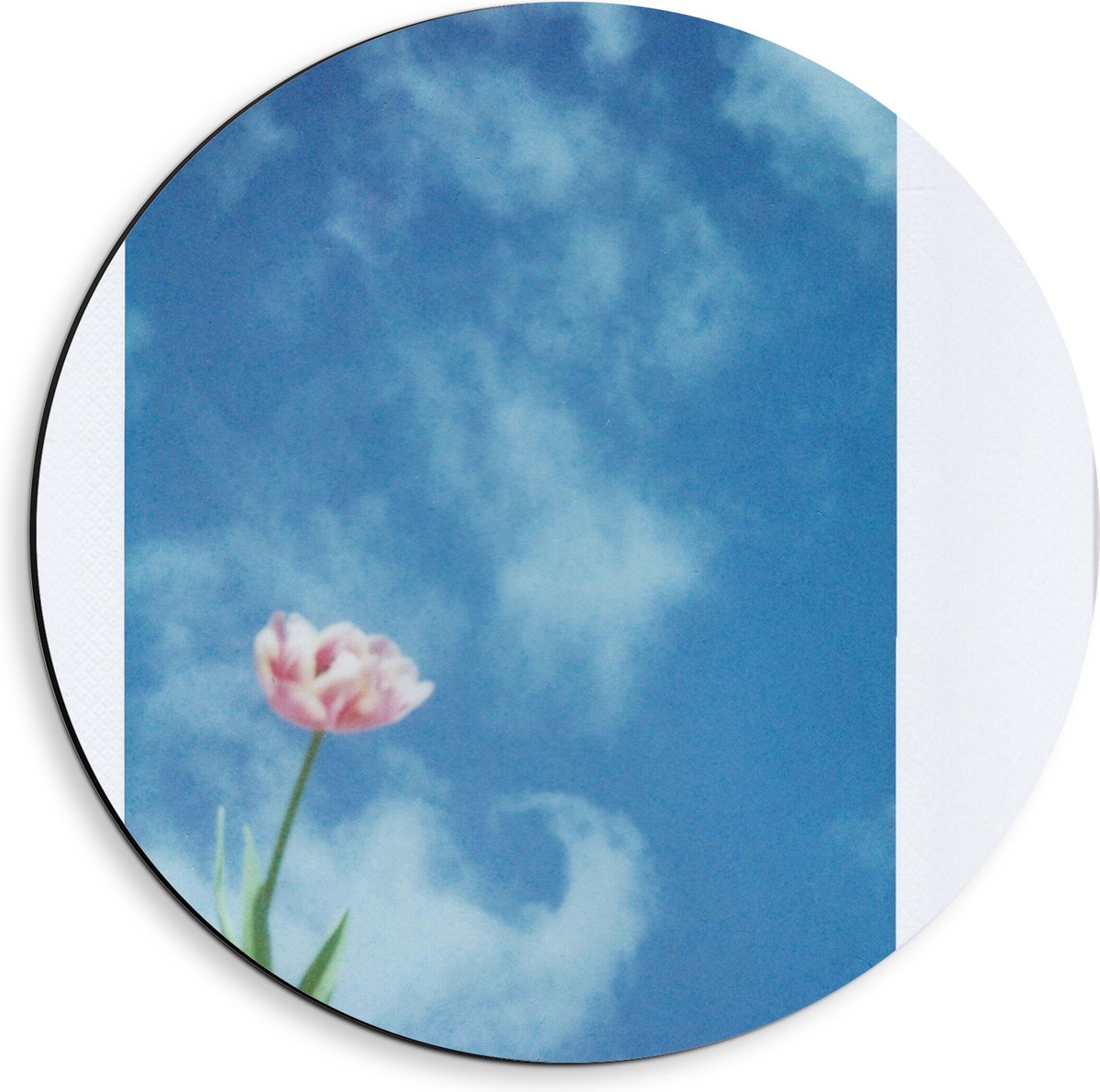 Dibond Muurcirkel - Polaroid van Roze Bloem onder Sluierbewolking - 40x40 cm Foto op Aluminium Muurcirkel (met ophangsysteem)