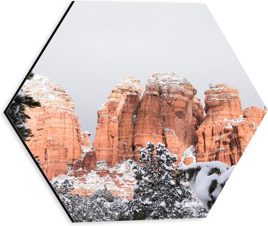 WallClassics - Dibond Hexagon - Bruingekleurde Rotsen in Wit Sneeuwlandschap - 30x26.1 cm Foto op Hexagon (Met Ophangsysteem)