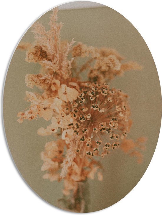 PVC Schuimplaat Ovaal - Droge Oranje Bloemen in Vaas tegen Beige Muur - 51x68 cm Foto op Ovaal (Met Ophangsysteem)