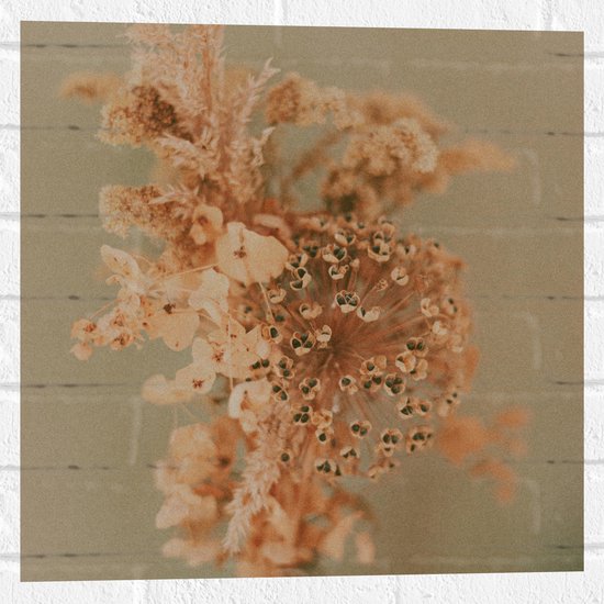 Muursticker - Droge Oranje Bloemen in Vaas tegen Beige Muur - 50x50 cm Foto op Muursticker