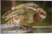 WallClassics - Drapeau - Hibou Volant - 60x40 cm Photo sur Drapeau Polyester
