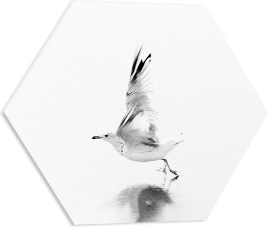 WallClassics - PVC Schuimplaat Hexagon - Vliegende Witte Vogel over het Water - 50x43.5 cm Foto op Hexagon (Met Ophangsysteem)
