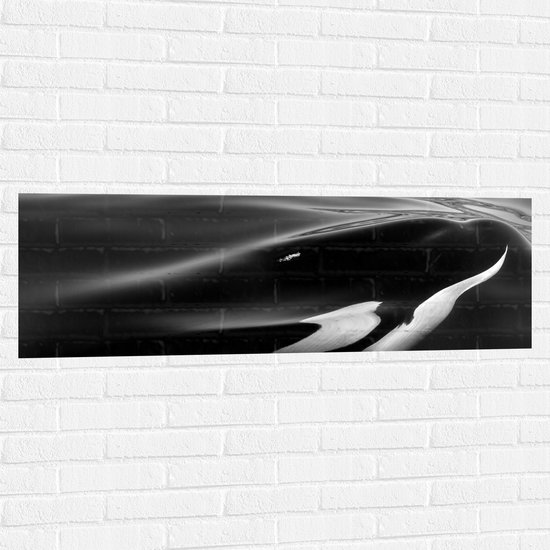 WallClassics - Muursticker - Zwart met Witte Orka aan het Wateroppervlak (Zwart- wit) - 120x40 cm Foto op Muursticker
