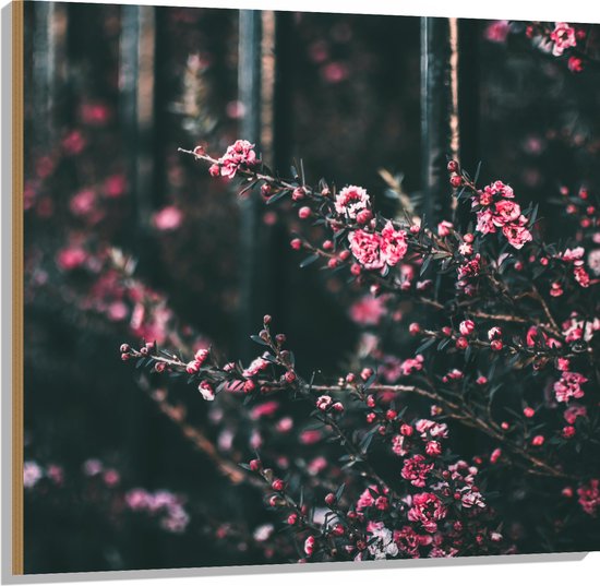 Hout - Roze Bloemenstruik in Donker Kleurig Bos - 100x100 cm - 9 mm dik - Foto op Hout (Met Ophangsysteem)