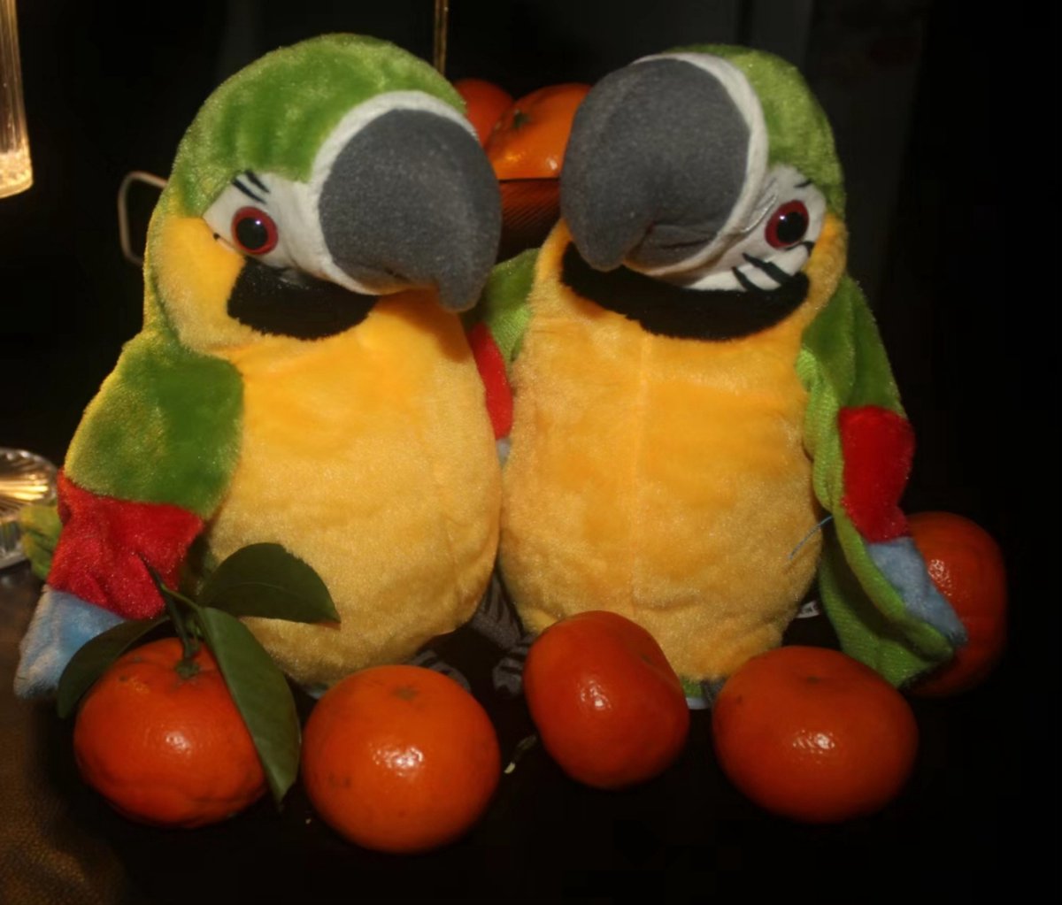 Knobbout Hello Kids, Lemon de sprekende papegaai-1 stuk
