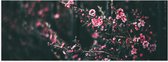 Poster Glanzend – Roze Bloemenstruik in Donker Kleurig Bos - 90x30 cm Foto op Posterpapier met Glanzende Afwerking