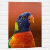 WallClassics - Muursticker - Blijkijkende Papegaai met Felle Kleuren - 50x75 cm Foto op Muursticker