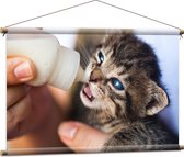 Textielposter - Kitten Drinkend uit Melkfles met Blauwe Ogen - 90x60 cm Foto op Textiel