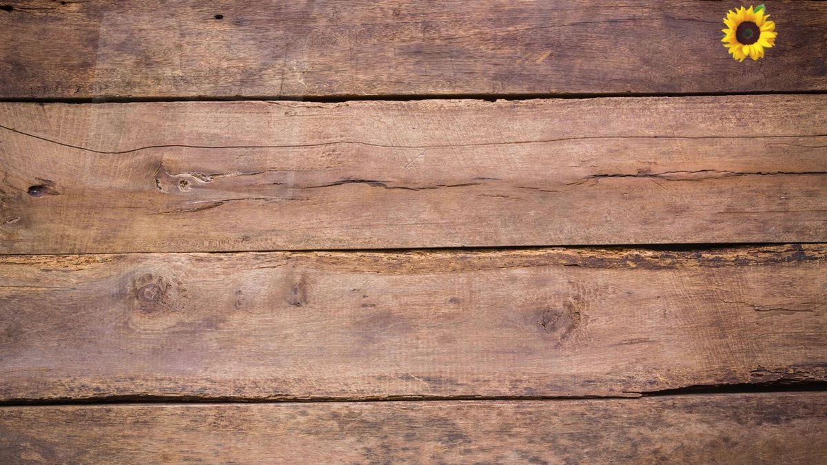 Houten
