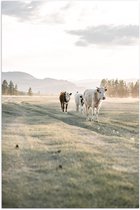 Poster (Mat) - Trio van Koeien Lopend door Gras Landschap onder aan Berg - 50x75 cm Foto op Posterpapier met een Matte look
