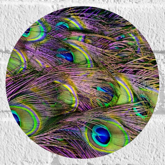 Muursticker Cirkel - Gekleurde Pauwen Veren - 20x20 cm Foto op Muursticker