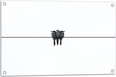 WallClassics - Tuinposter – Trio Vogels op Zwarte Lijn - 75x50 cm Foto op Tuinposter (wanddecoratie voor buiten en binnen)