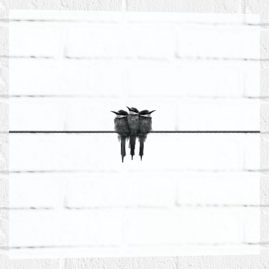 WallClassics - Muursticker - Trio Vogels op Zwarte Lijn - 50x50 cm Foto op Muursticker