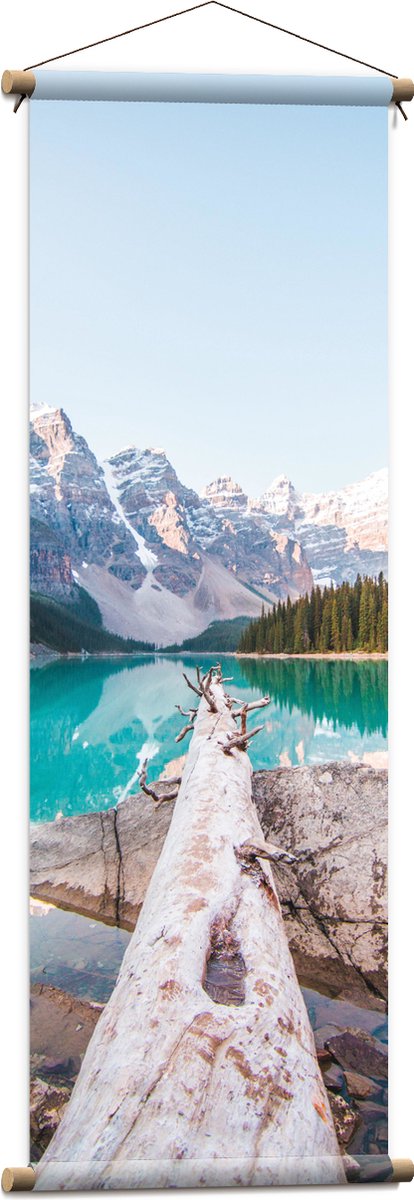 Textielposter - Boomstam aan Blauw meer met Bergen - 40x120 cm Foto op Textiel