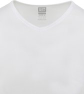 Alan Red - Organic V-Hals T-Shirt Wit 2-Pack - Heren - Maat M - Slim-fit