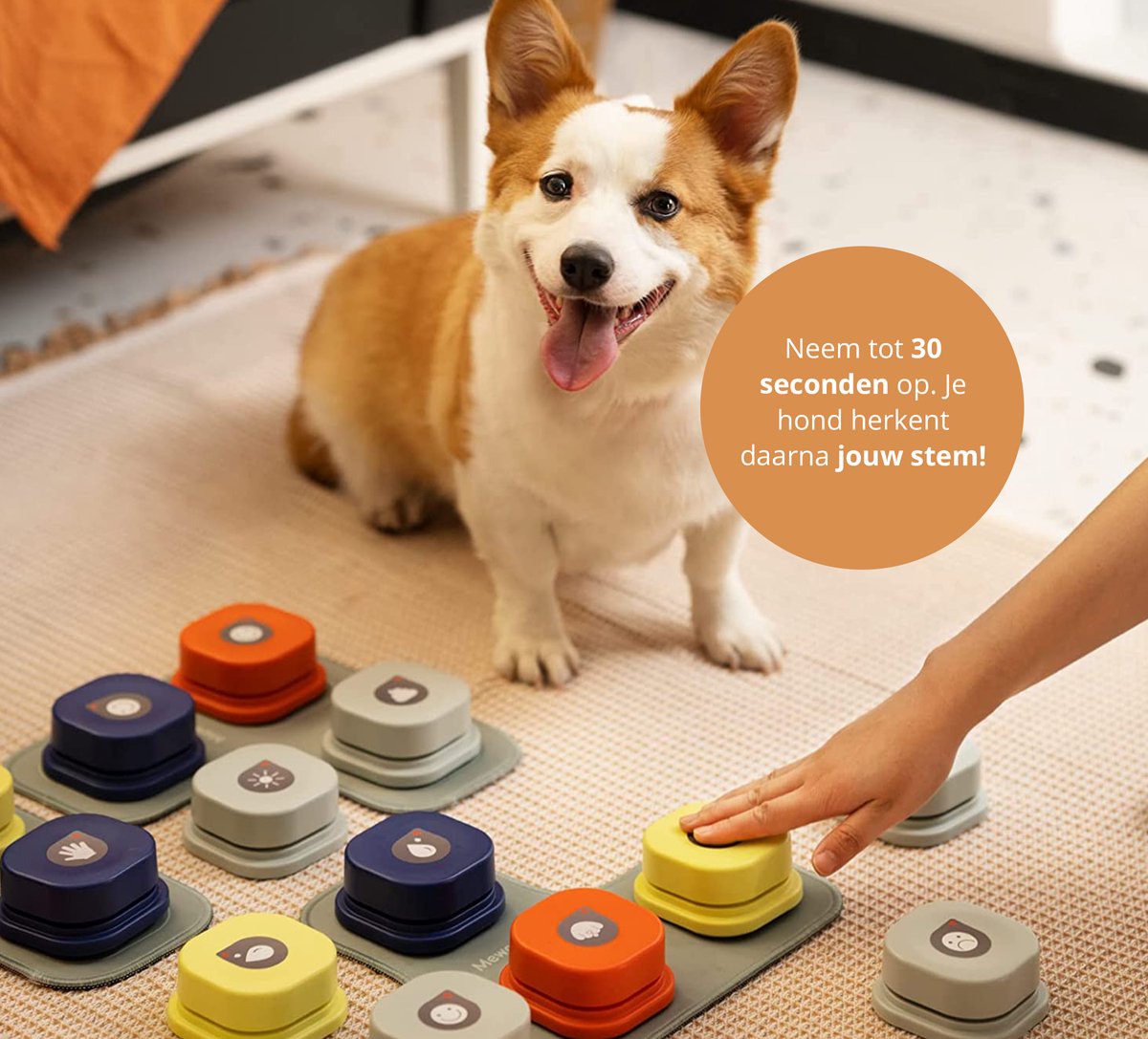 Buzzer Enregistrable, 4 Bouton de Conversation Enregistrable pour Chien  avec Fonction dEnregistrement Chien Boutons Communication Formation Buzzer  30