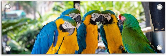 Tuinposter – Vijf Papegaaien bij Elkaar onder Rieten Parasol - 60x20 cm Foto op Tuinposter (wanddecoratie voor buiten en binnen)