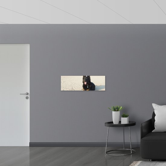WallClassics - Bois - Chien posant sur une plage calme - 90 x 30 cm - Épaisseur 9 mm - Photo sur bois (avec système de suspension)