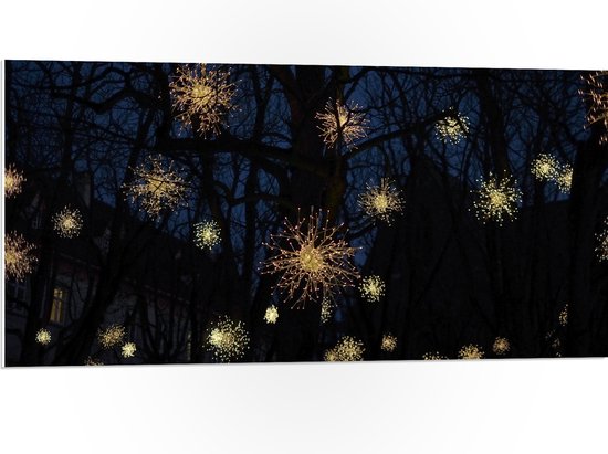 WallClassics - PVC Schuimplaat- Lichtfonkels door Boom in de Nacht - 100x50 cm Foto op PVC Schuimplaat