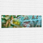 WallClassics - Muursticker - Panterkameleon in de Natuur - 120x40 cm Foto op Muursticker