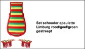 Paar Epauletten rood/geel/groen gestreept Limburg - Thema feest carnaval optocht party epaulet festival