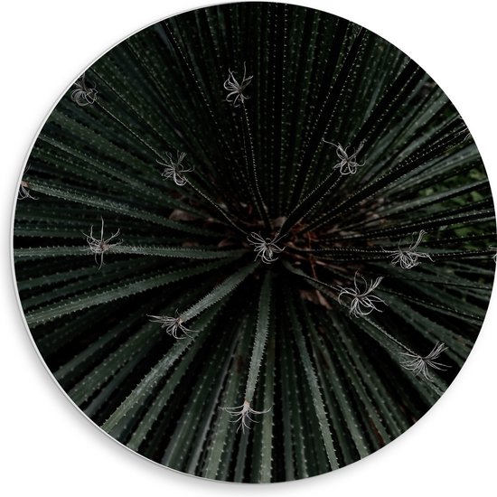 PVC Schuimplaat Muurcirkel - Bovenaanzicht Groene Planten - 50x50 cm Foto op Muurcirkel (met ophangsysteem)