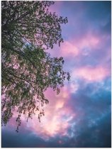 Poster (Mat) - Boom met Paars Blauwe Lucht - 30x40 cm Foto op Posterpapier met een Matte look