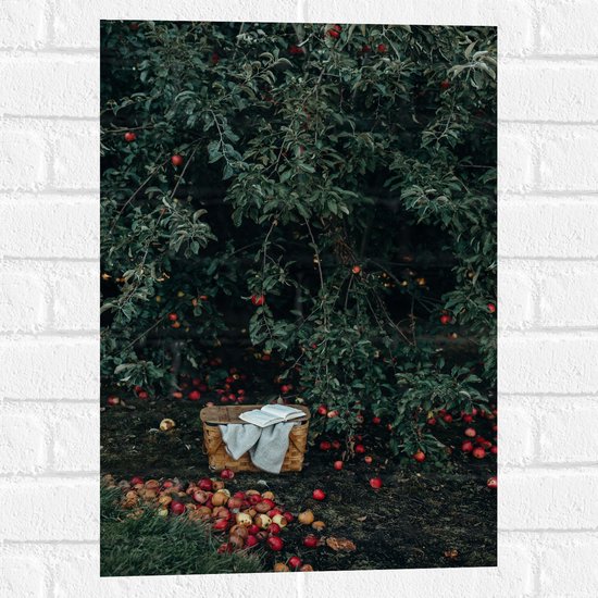 WallClassics - Muursticker - Mandje voor Appels Plukken - 40x60 cm Foto op Muursticker