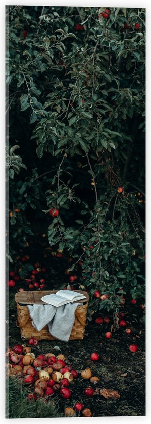 WallClassics - Acrylglas - Mandje voor Appels Plukken - 20x60 cm Foto op Acrylglas (Met Ophangsysteem)
